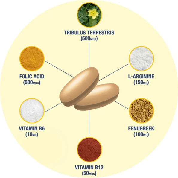 GAT Testrol Gold | 60 caps - Imagen 5