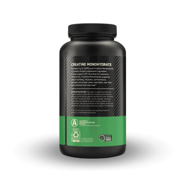 ON Micronized Creatine Powder 300 Gr - Imagen 3