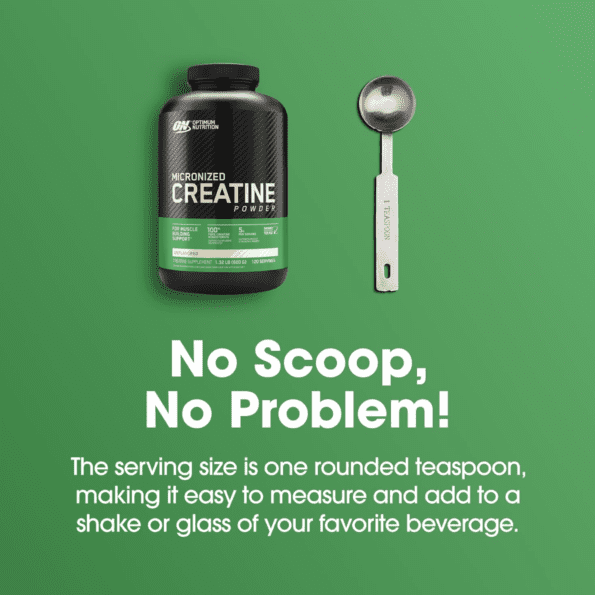 ON Micronized Creatine Powder 300 Gr - Imagen 7