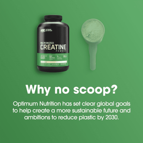 ON Micronized Creatine Powder 300 Gr - Imagen 8