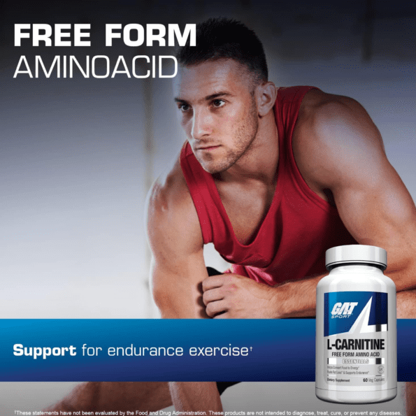 GAT L-Carnitine | 60 Caps - Imagen 4