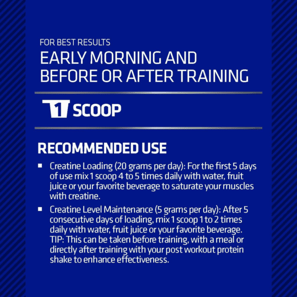 USN | Creatine 300 gr | 60 serv - Imagen 5