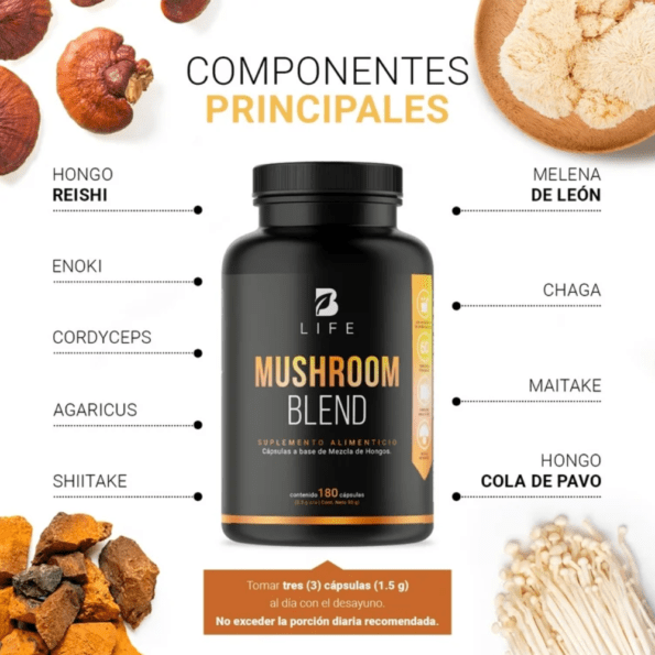BLife | Mushroom Blend | Mezcla de Hongos 180 Cápsulas | 500 mg - Imagen 3