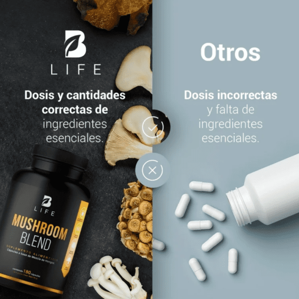 BLife | Mushroom Blend | Mezcla de Hongos 180 Cápsulas | 500 mg - Imagen 6