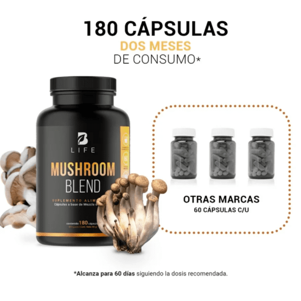 BLife | Mushroom Blend | Mezcla de Hongos 180 Cápsulas | 500 mg - Imagen 7
