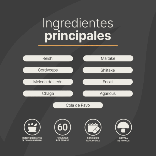 BLife | Mushroom Blend | Mezcla de Hongos 180 Cápsulas | 500 mg - Imagen 8