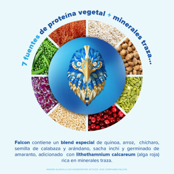 BIRDMAN | Falcon Proteina Vegetal Organica En Polvo (Vegana) 1 Pz - Imagen 5