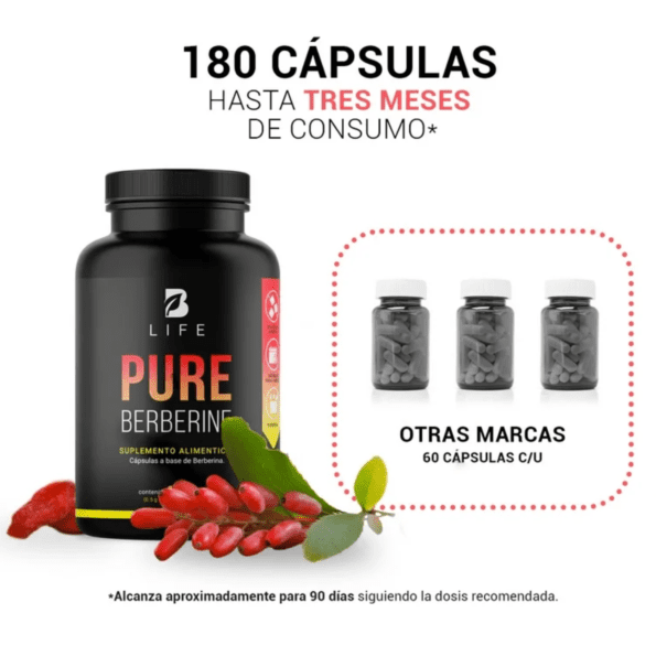BLife | Pure Berberine | Berberina Pura 180 Caps | 500 mg - Imagen 5