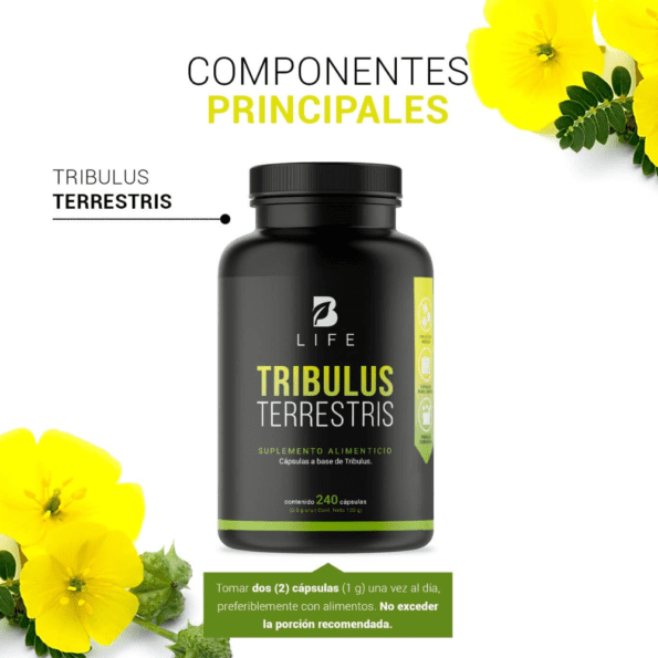 BLife | Tribulus Terrestris 240 caps - Imagen 3