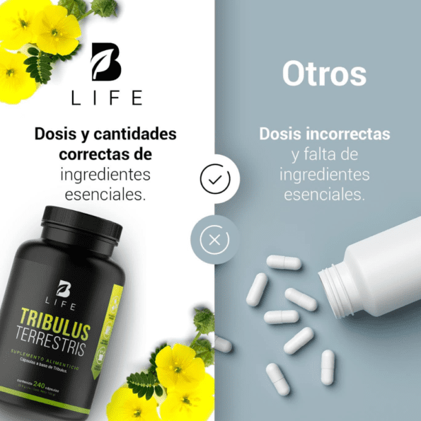 BLife | Tribulus Terrestris 240 caps - Imagen 5