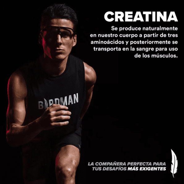 BIRDMAN | Creatina Monohidratada 600 g – 120 serv - Imagen 5