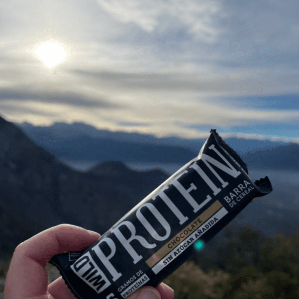 Wild Protein | Barras altas en proteína | Sabor Chocolate | 15 g de proteína | Sin azúcares ni grasa añadida | 45 g cada barra - Imagen 8